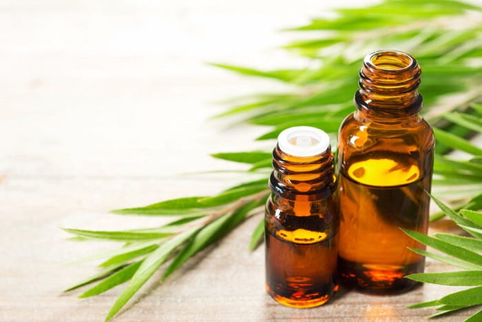 تصویر 2 از قیمت خرید روغن درخت چای + فروش ویژه